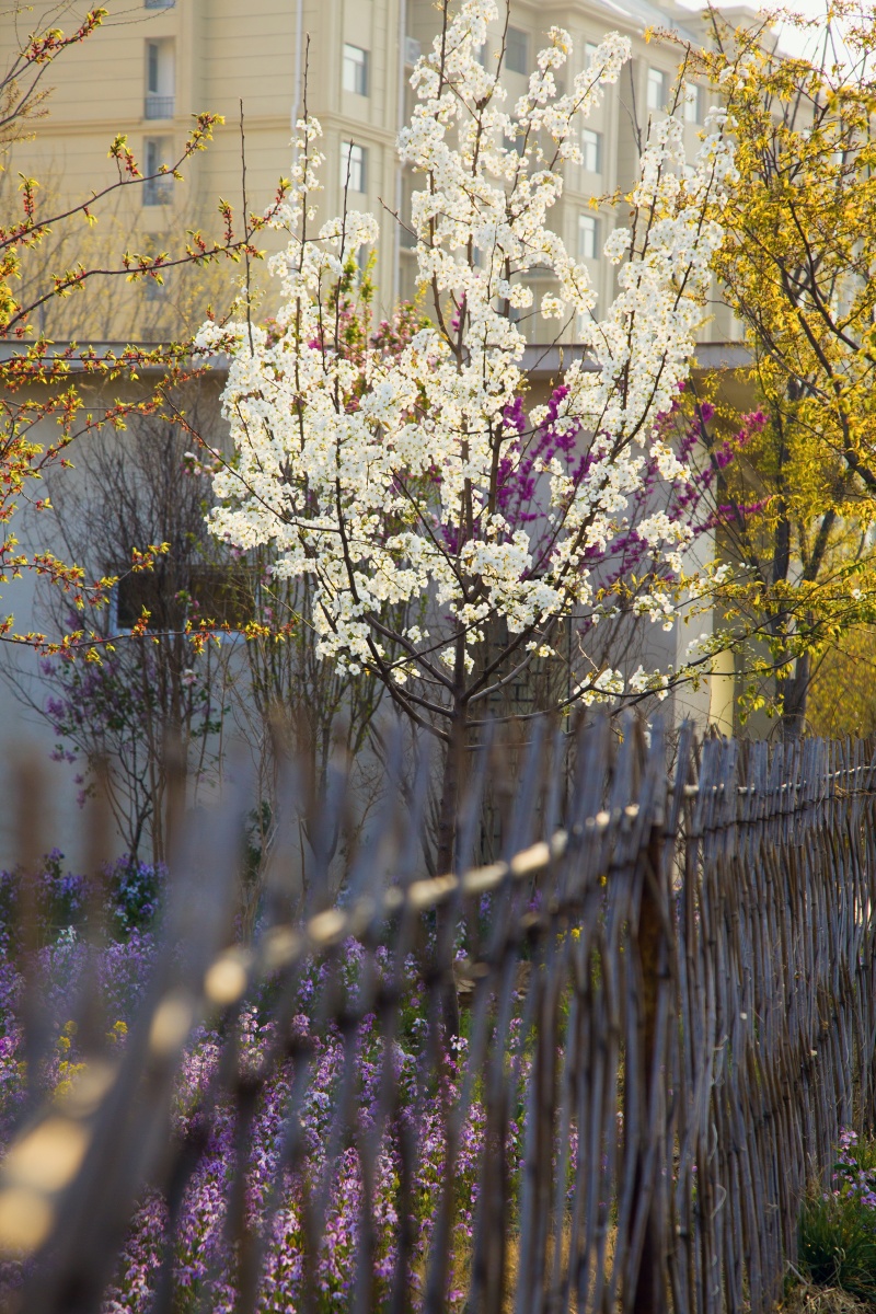 这种带有生活气息的片子还是喜欢