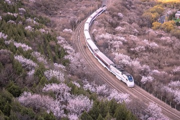 1000063279