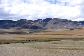1000016071