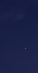 61038190-173A-4F75-A7FD-88444C8C3C4E/L0/001