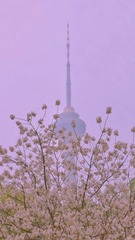 2F5B30D6-EDA8-475F-B4CA-22117B3CEC15/L0/001