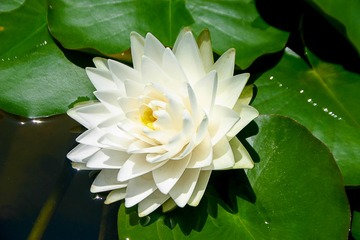 IMG_6363-1