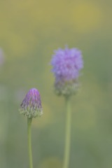 190500