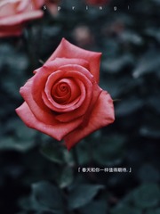 8341DF89-E06C-4AD5-98A2-A0A80F81BB3A/L0/001