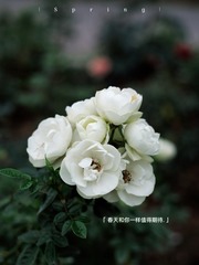977EB58D-FEFE-4A16-B1B2-19770873DE24/L0/001