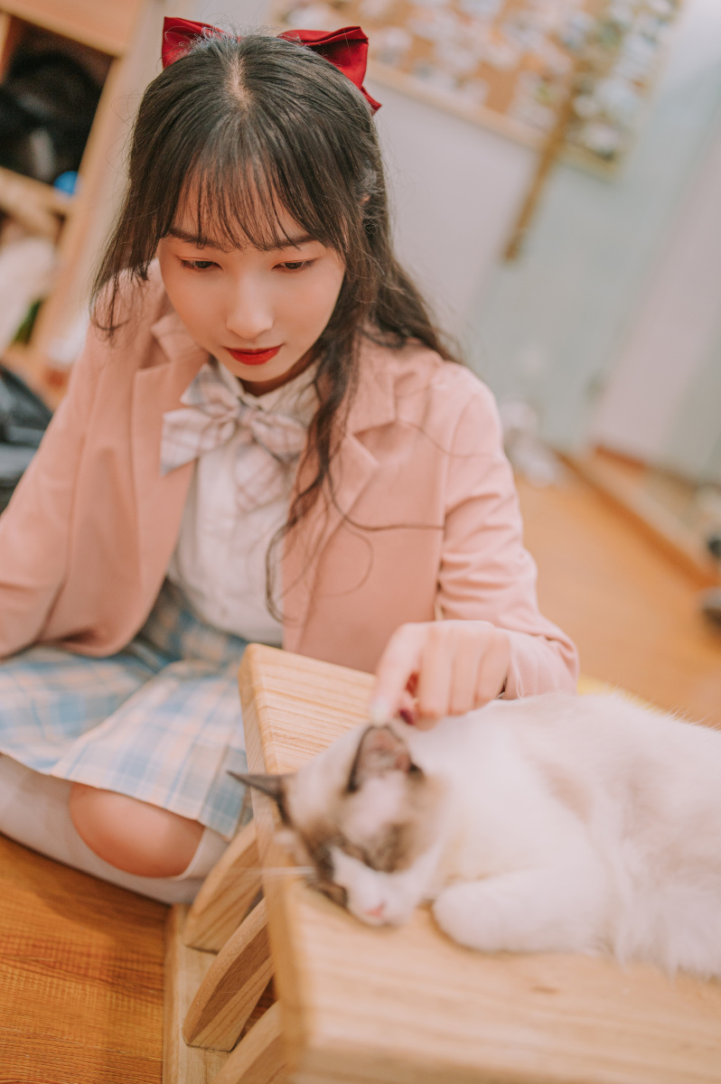 jk和猫的粉色糖水