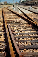 2616456