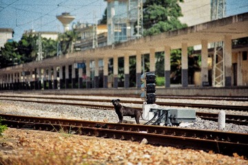 2616454