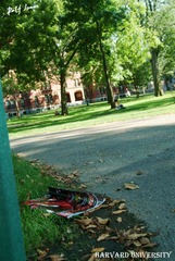 Harvard University