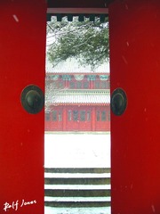 冬至