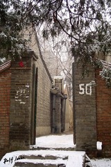 #50,Winter