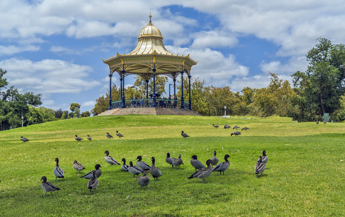 澳大利亚阿德莱德风光