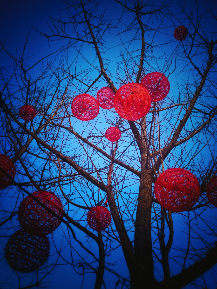 红灯树上挂着镂空的红色灯
