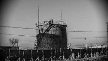 620019
