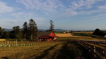534927