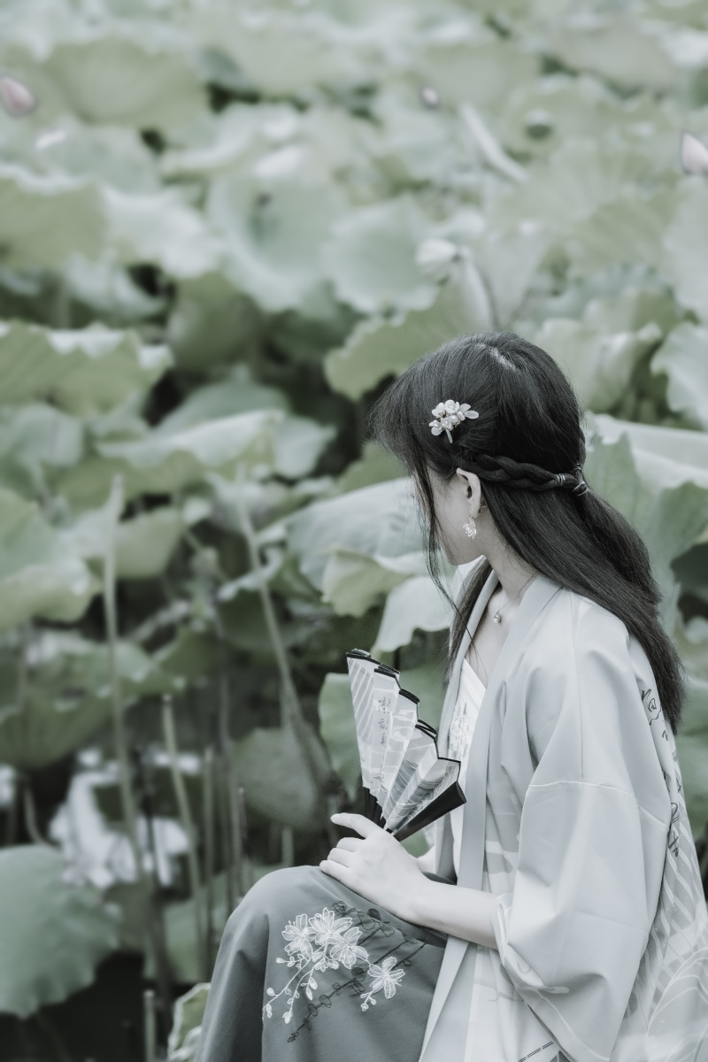 杭州西湖荷花观赏区一位在赏荷的古风女孩