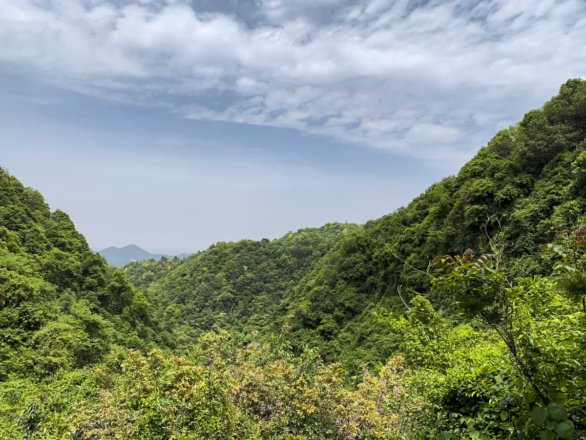 午潮山国家森林公园