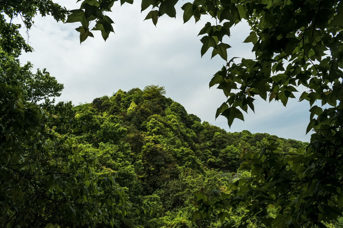 午潮山国家森林公园