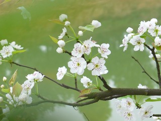 P1020545