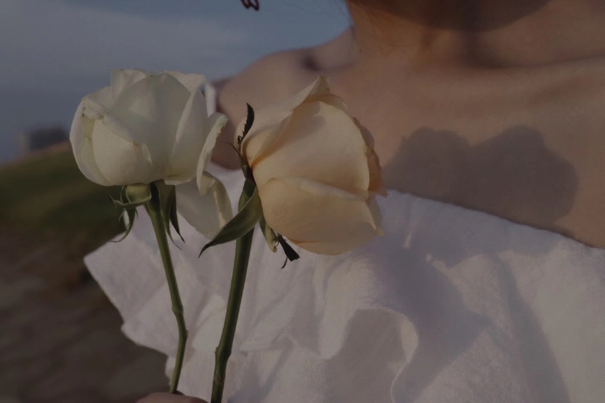 人像玫瑰花湖边白裙女孩莫兰迪色调