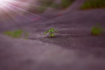 1071817