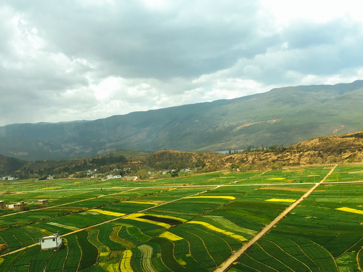 可乐旅游机票研学819