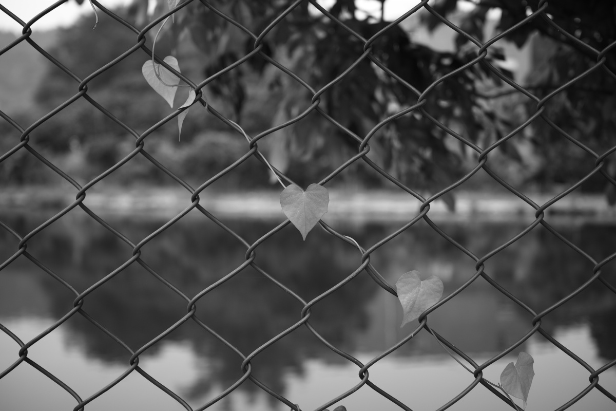 2019适马晴典,适马dp2q拍摄