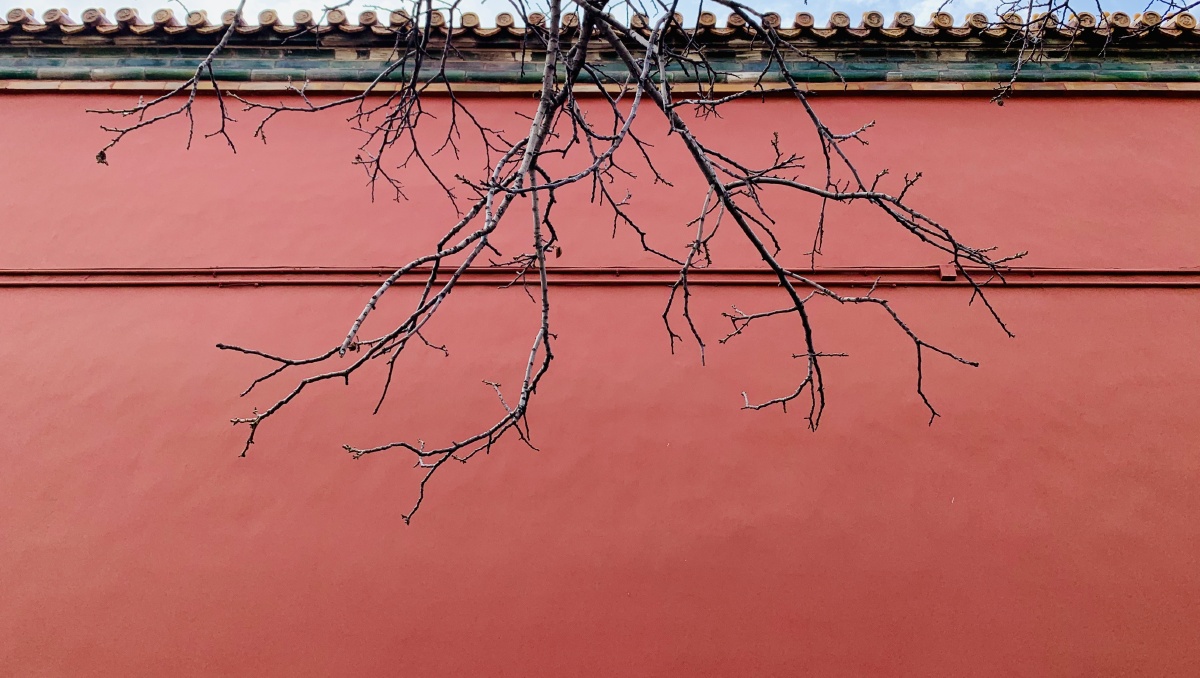 忆北平故宫红墙