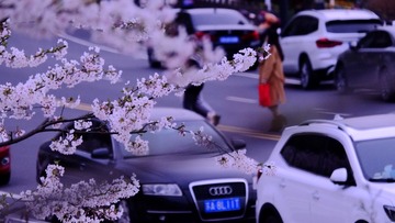 BA65F61F-56FB-4B1B-9CD7-68D462F1F1A5/L0/001