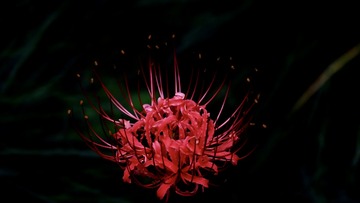 0C6C2820-BC4E-47CA-81CC-59973657A315/L0/001