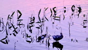 BF7F71ED-E027-4647-9D6C-3375FFCD92AC/L0/001