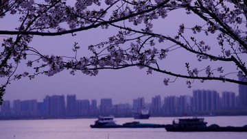 18E75428-A36C-40D1-81B4-A83FF716124B/L0/001