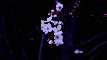 17FD538D-B356-4CF6-A3FE-B5F9FFCFA625/L0/001