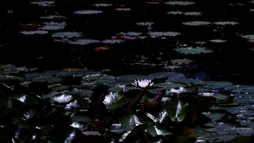 670238D8-E4CD-42F4-9CD2-586E40DBA55F/L0/001