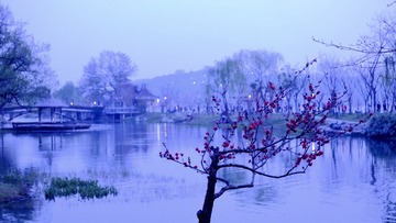 19D4C968-F9E1-48FA-A0FF-D102E5257999/L0/001