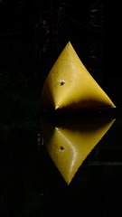 1000040748