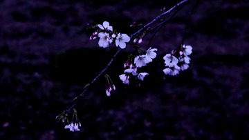 337837AA-534C-4786-A167-7CD410F610AE/L0/001