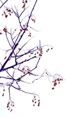 EE334E15-E5CA-4663-8562-77C019015158/L0/001