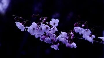 51B5379C-EAED-44CB-A66D-CE811D12C183/L0/001