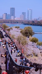 575E0DB4-AAA7-4503-B713-D476EC04D983/L0/001