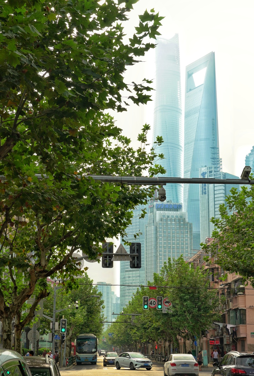 拍摄于上海东方路栖霞路