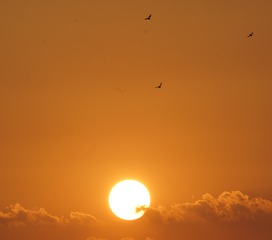 20190304_214230