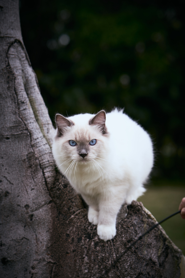 波尔洛克的最新作品