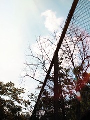B5ABF0DF-BD53-4F26-9CD5-0254989290C9/L0/001
