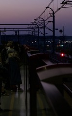 F00782C5-D407-4424-9571-5FEA6529137D/L0/001