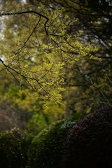 5A9E49F2-6AB9-45BA-9EFC-8653EB94D0AE/L0/001