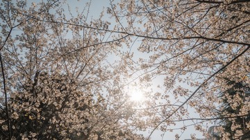 7B45085D-6888-44FC-97D3-78B9446F2D0F/L0/001