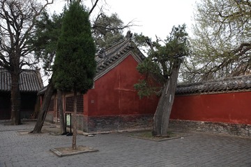 4T9A5589