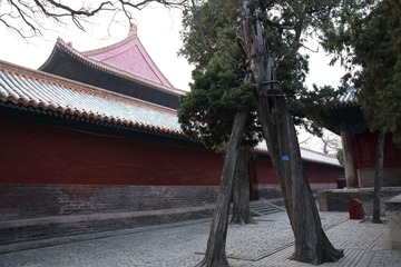 4T9A5602