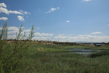 4T9A3331
